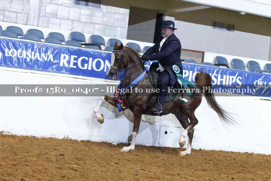 Proof Number 15R9_06407
