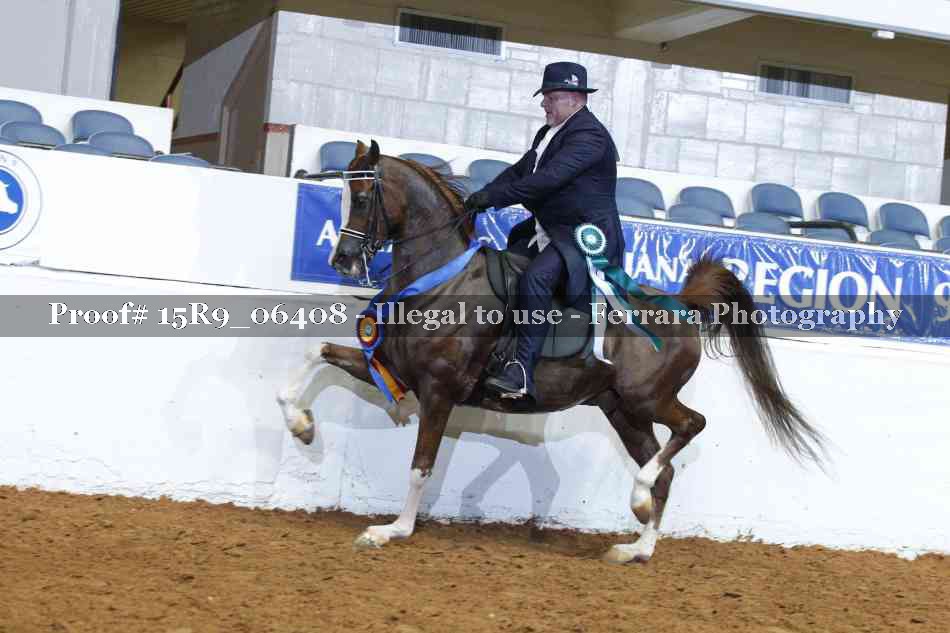 Proof Number 15R9_06408