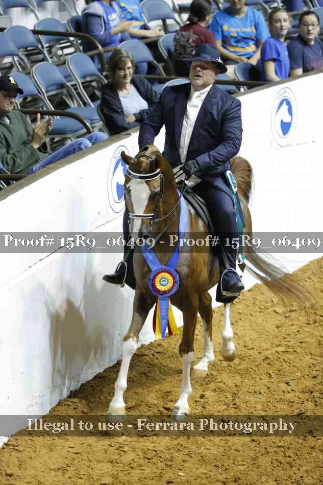 Proof Number 15R9_06409