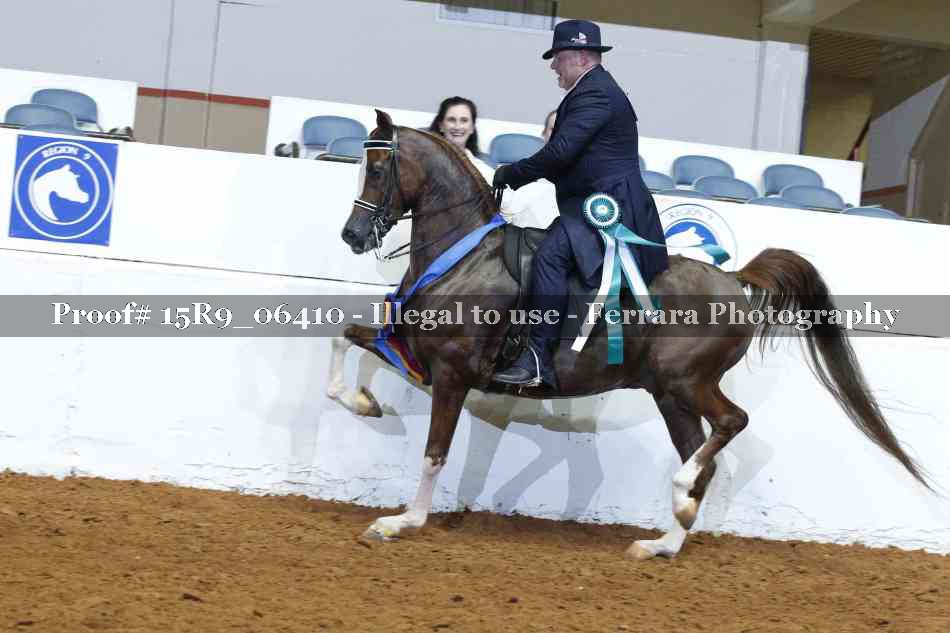 Proof Number 15R9_06410