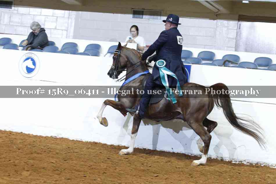 Proof Number 15R9_06411