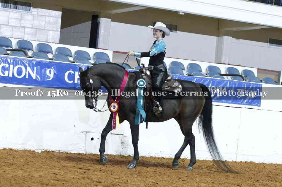 Proof Number 15R9_06438