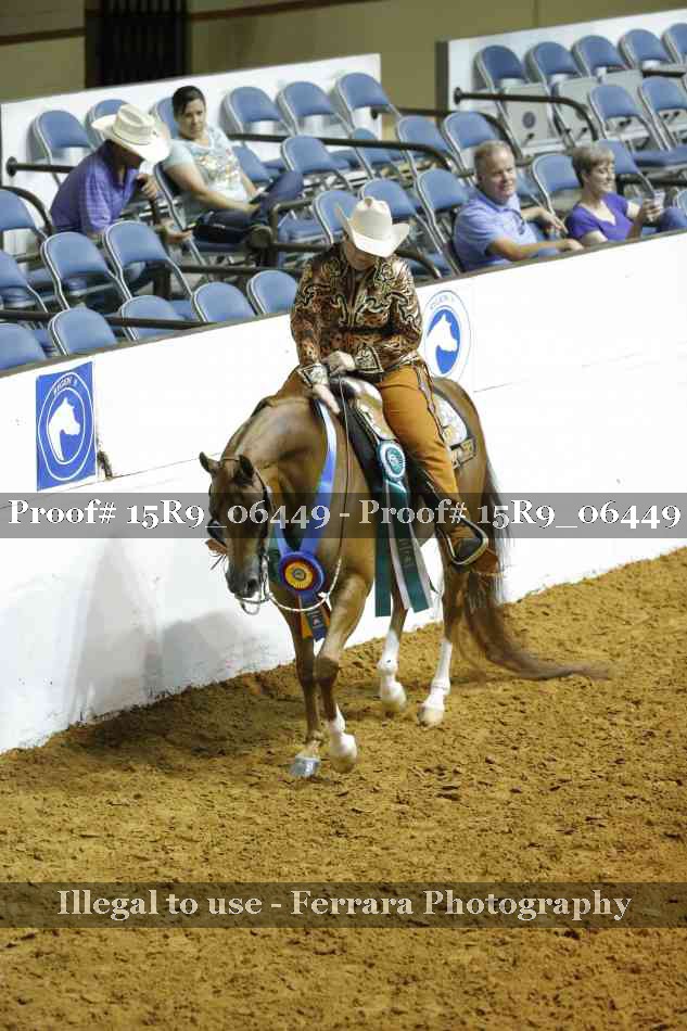 Proof Number 15R9_06449