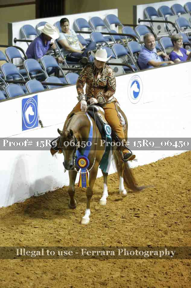 Proof Number 15R9_06450