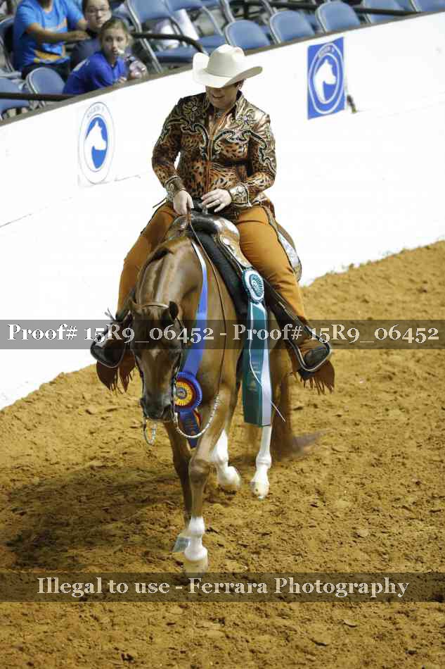 Proof Number 15R9_06452