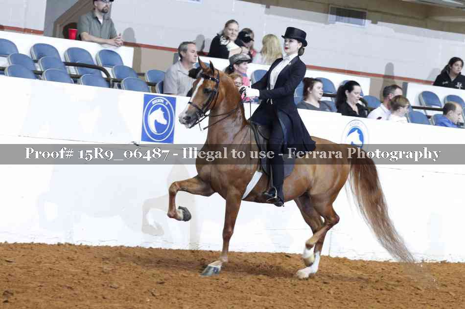 Proof Number 15R9_06487