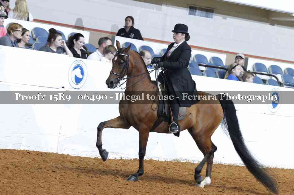 Proof Number 15R9_06490
