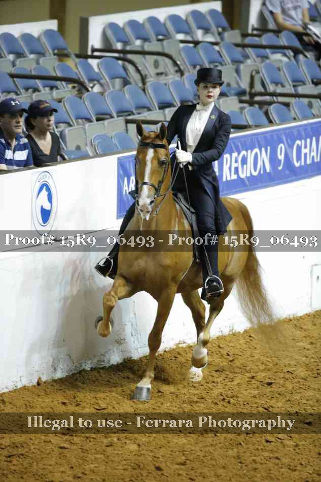Proof Number 15R9_06493