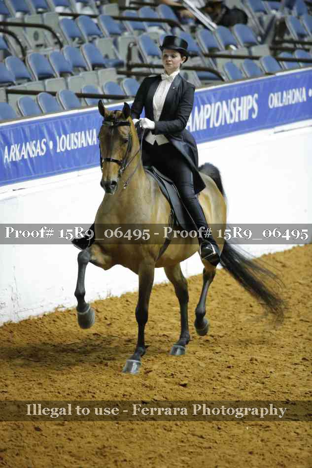 Proof Number 15R9_06495