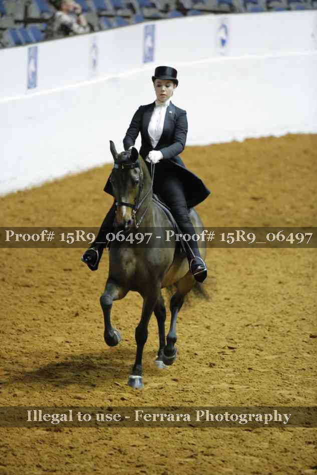 Proof Number 15R9_06497