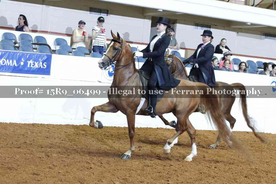 Proof Number 15R9_06499