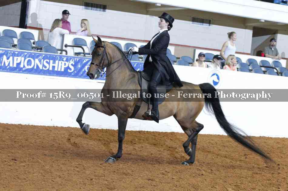 Proof Number 15R9_06501