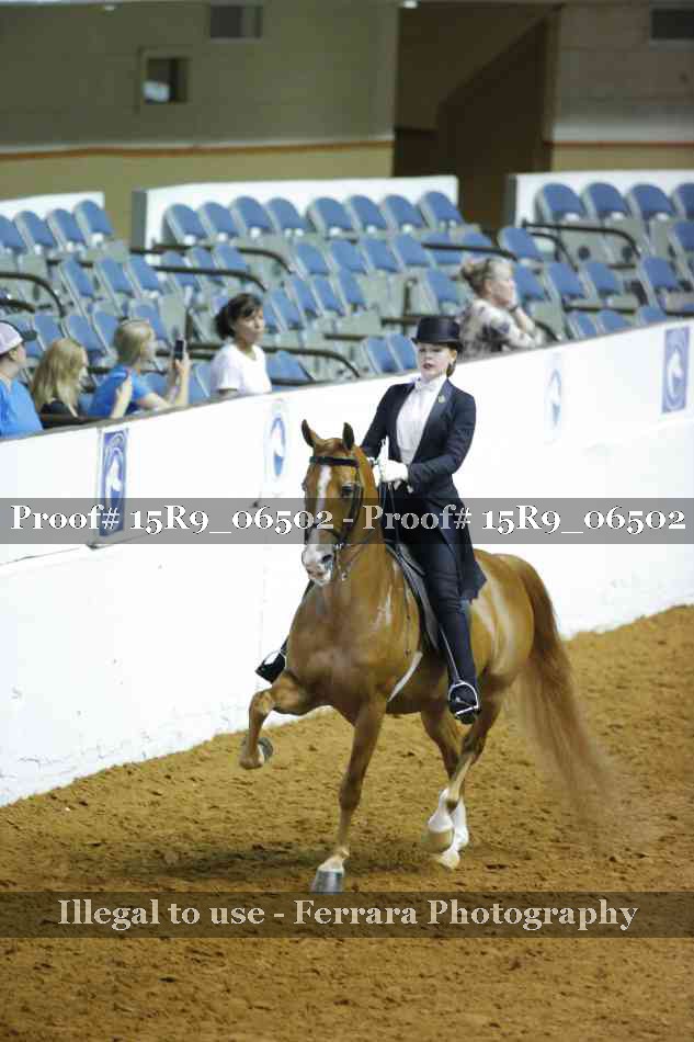 Proof Number 15R9_06502