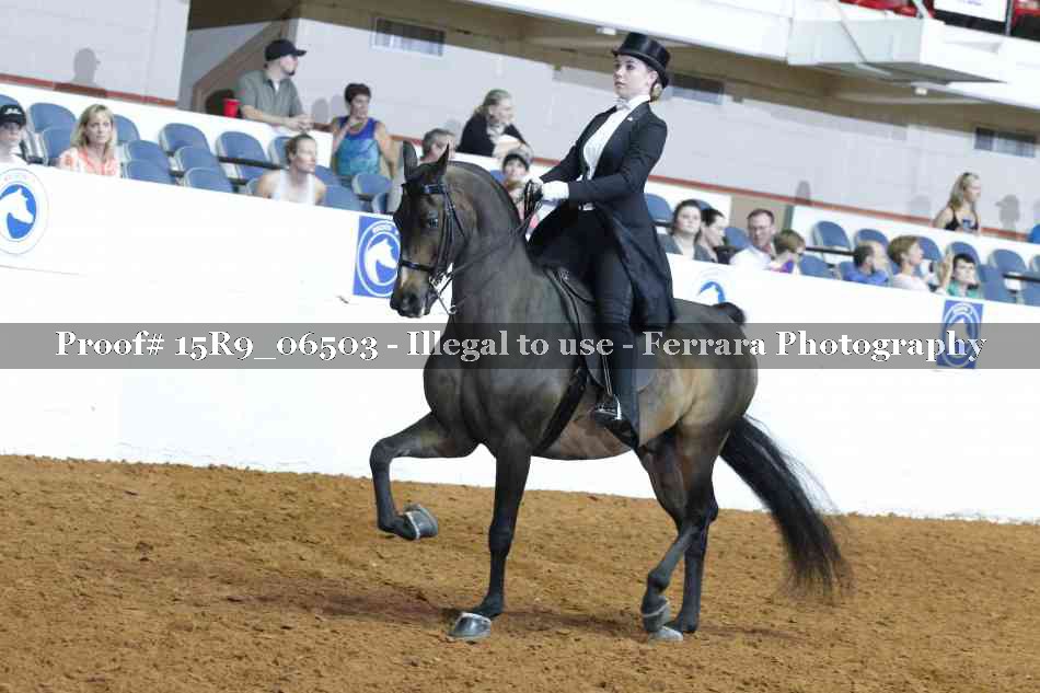 Proof Number 15R9_06503
