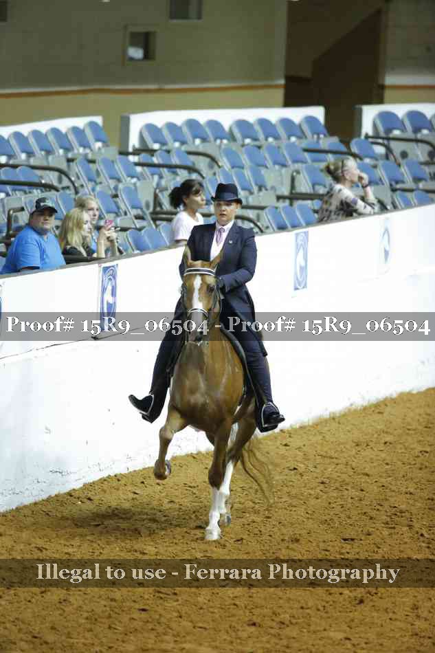 Proof Number 15R9_06504