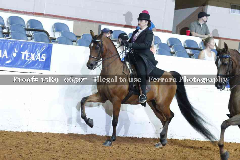 Proof Number 15R9_06507