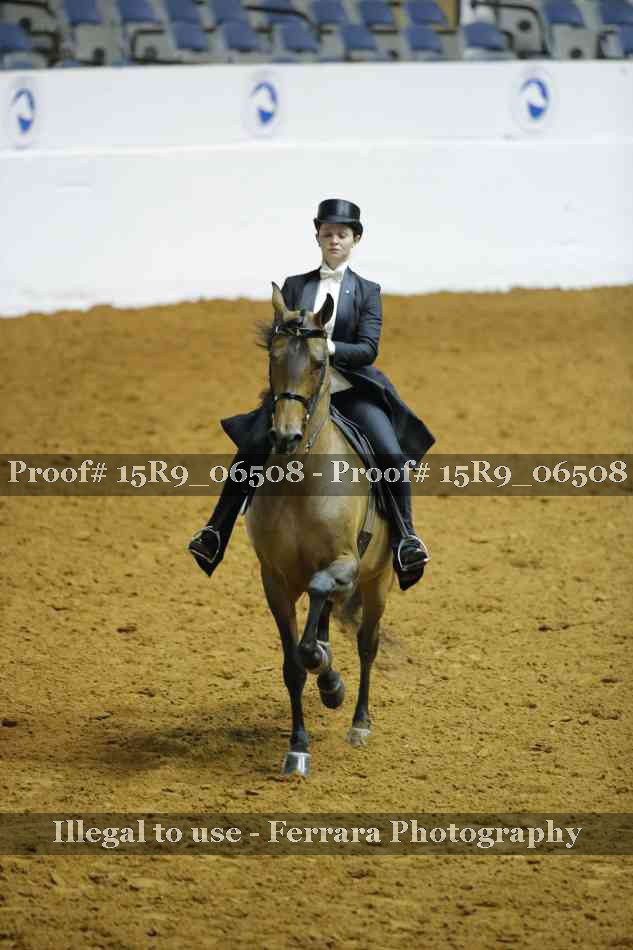 Proof Number 15R9_06508