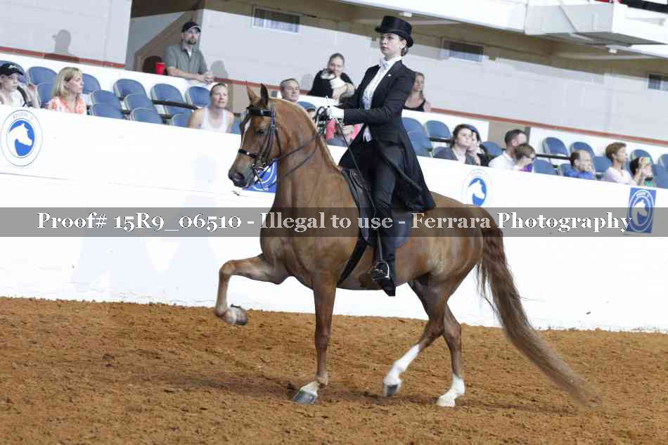 Proof Number 15R9_06510