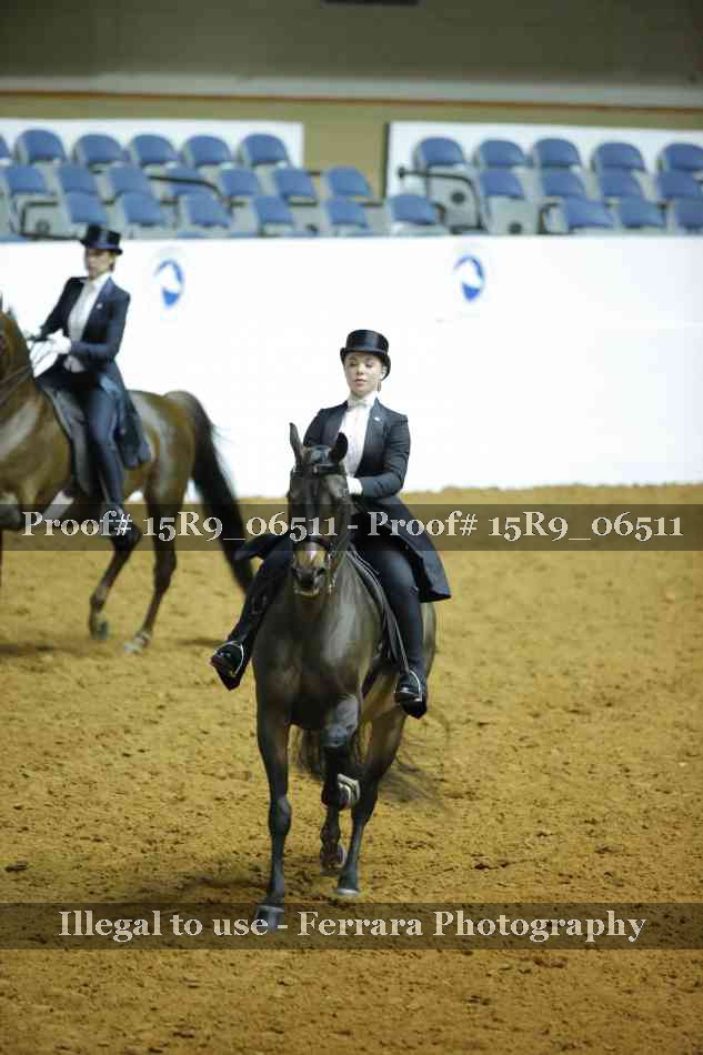 Proof Number 15R9_06511