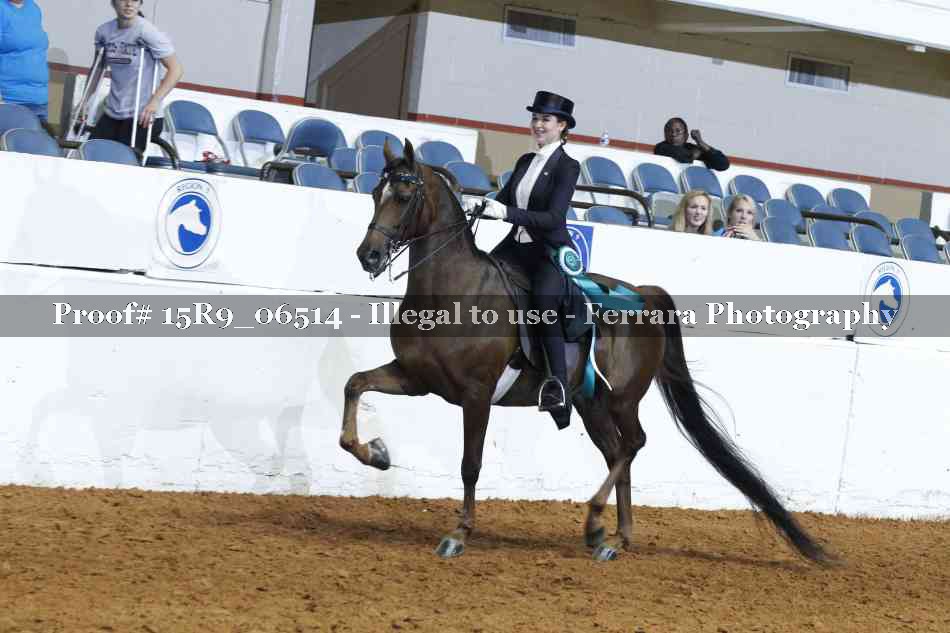 Proof Number 15R9_06514