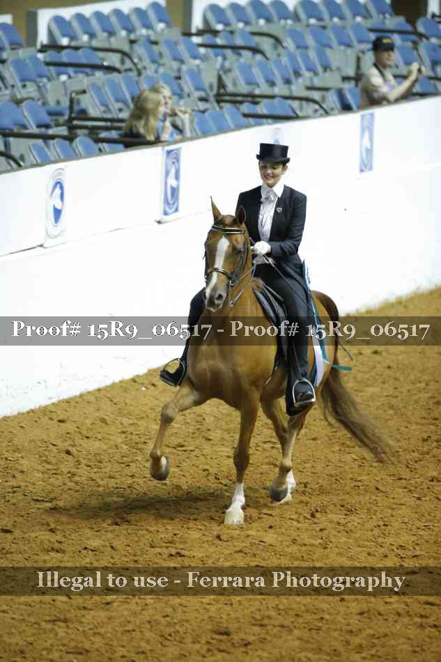 Proof Number 15R9_06517