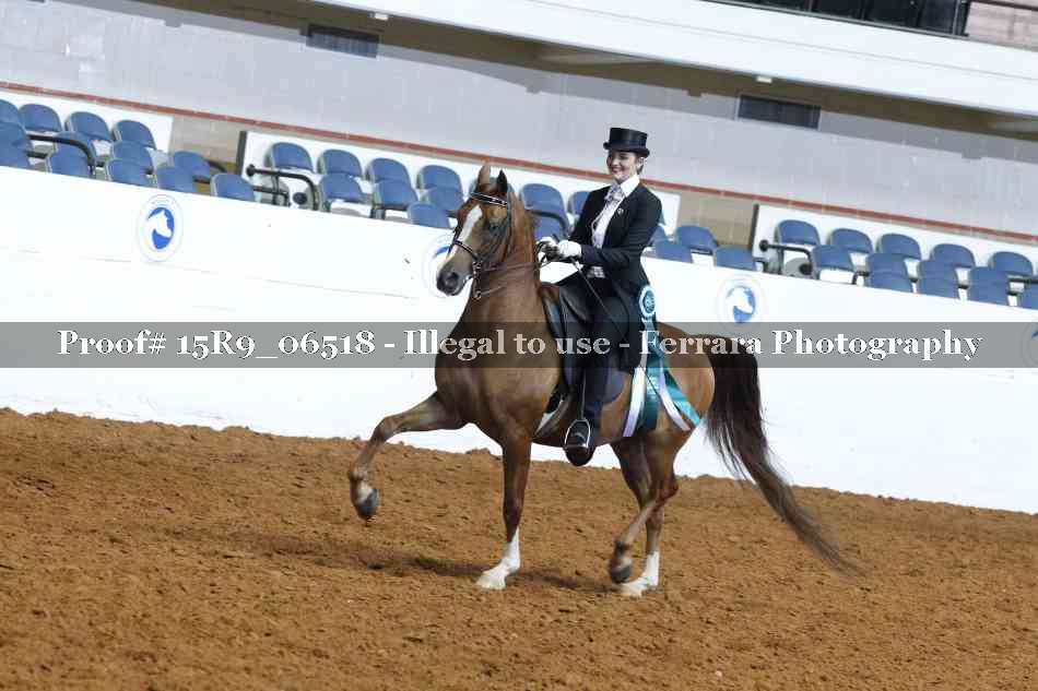 Proof Number 15R9_06518