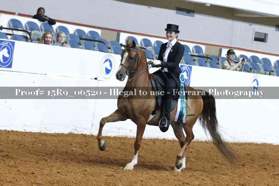 Proof Number 15R9_06520