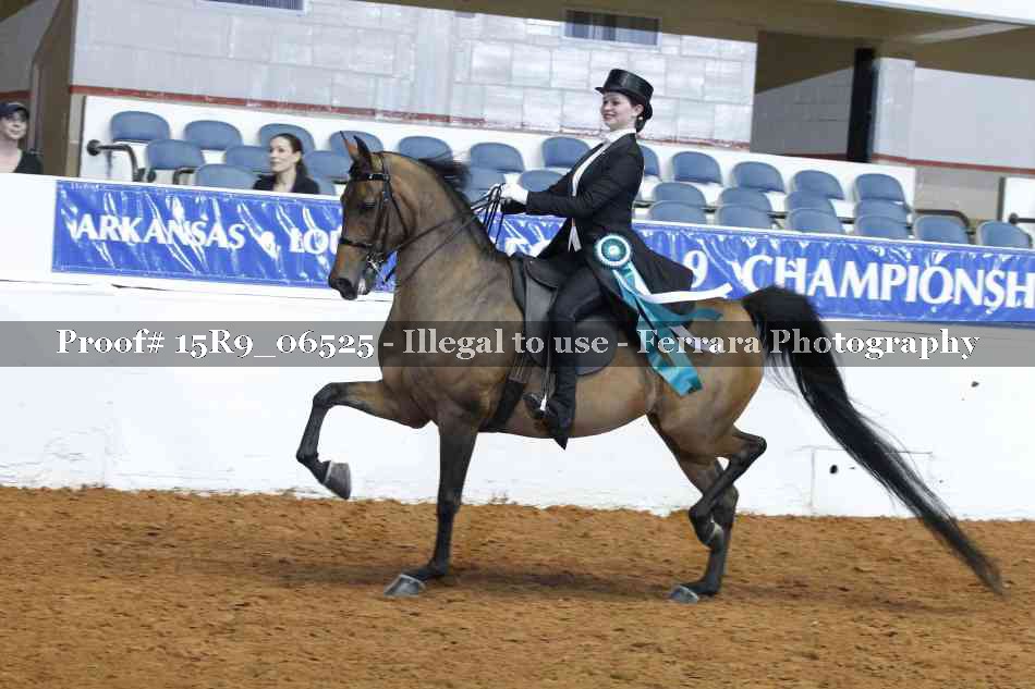Proof Number 15R9_06525