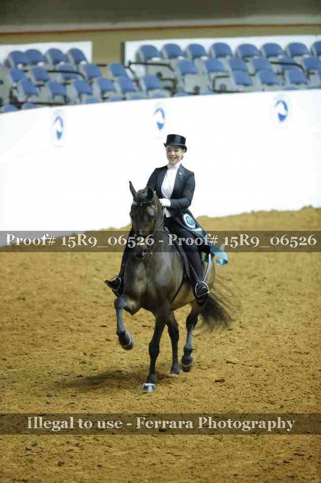 Proof Number 15R9_06526