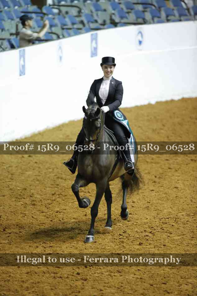 Proof Number 15R9_06528