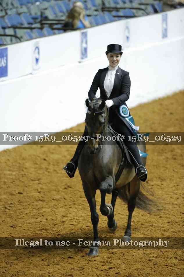 Proof Number 15R9_06529