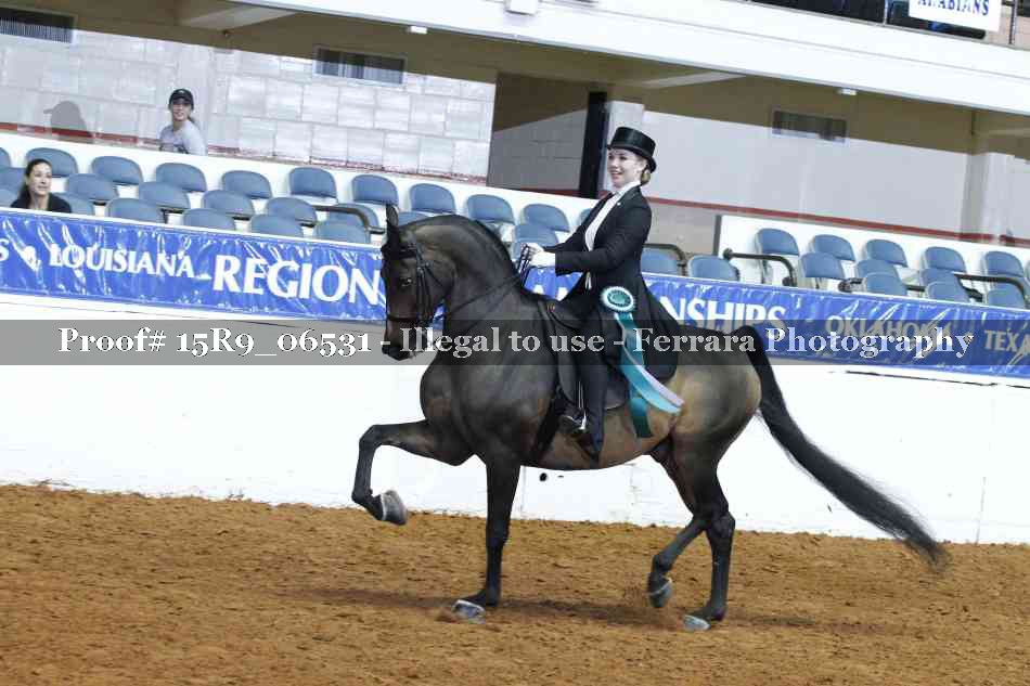 Proof Number 15R9_06531
