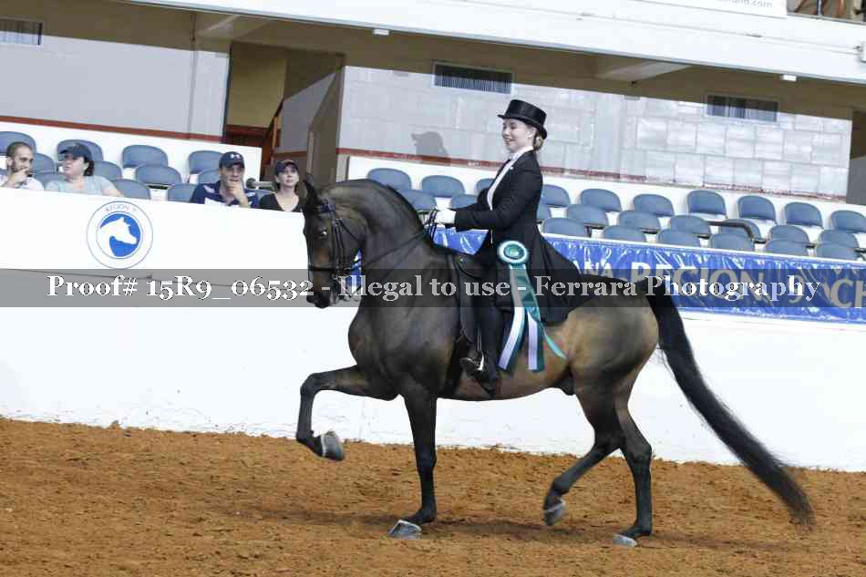 Proof Number 15R9_06532