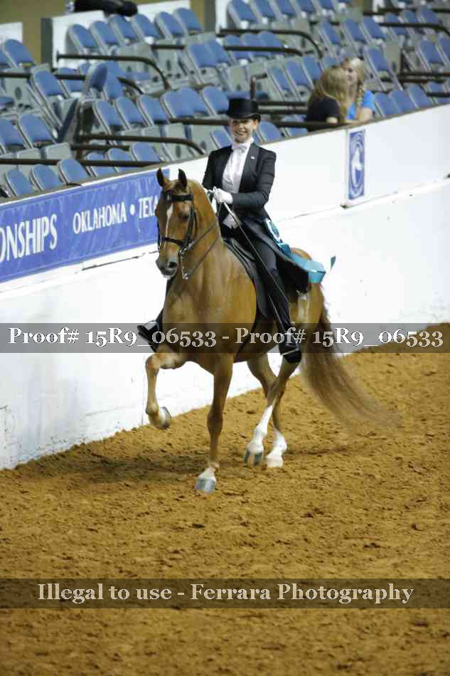 Proof Number 15R9_06533