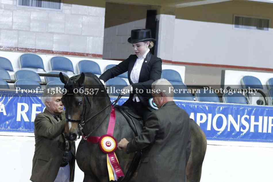 Proof Number 15R9_06537