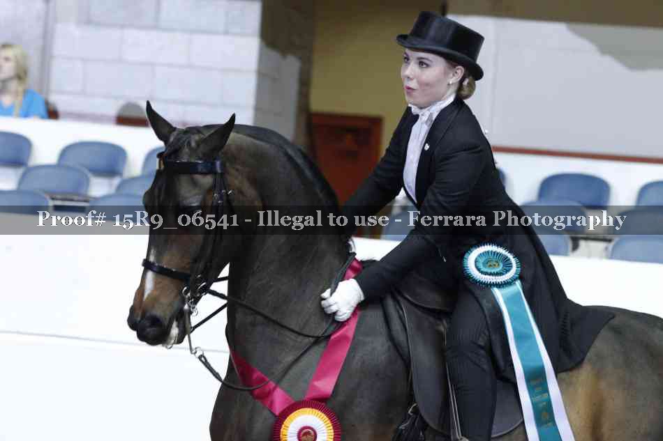 Proof Number 15R9_06541