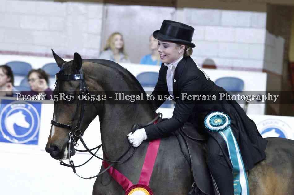 Proof Number 15R9_06542
