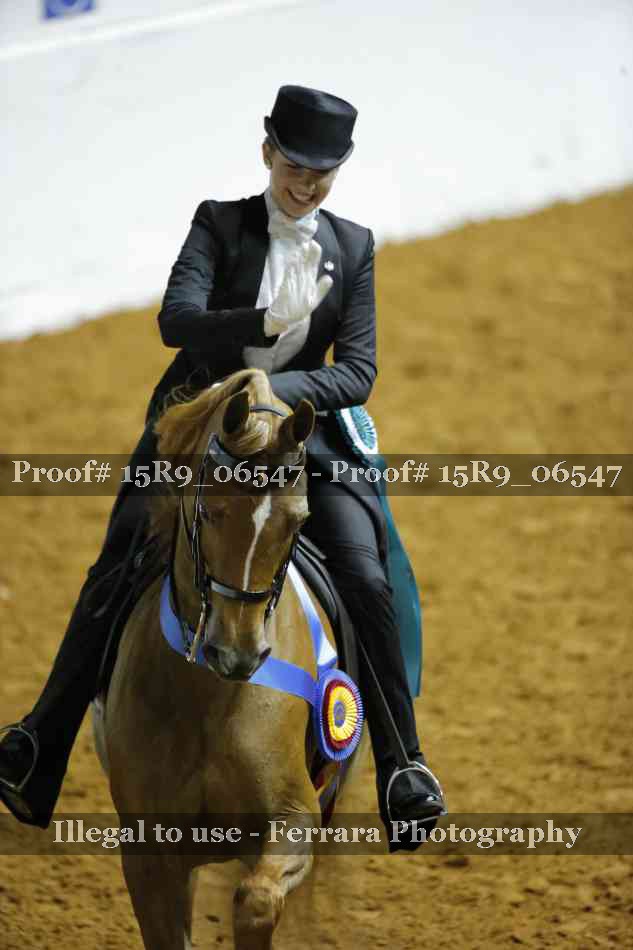 Proof Number 15R9_06547