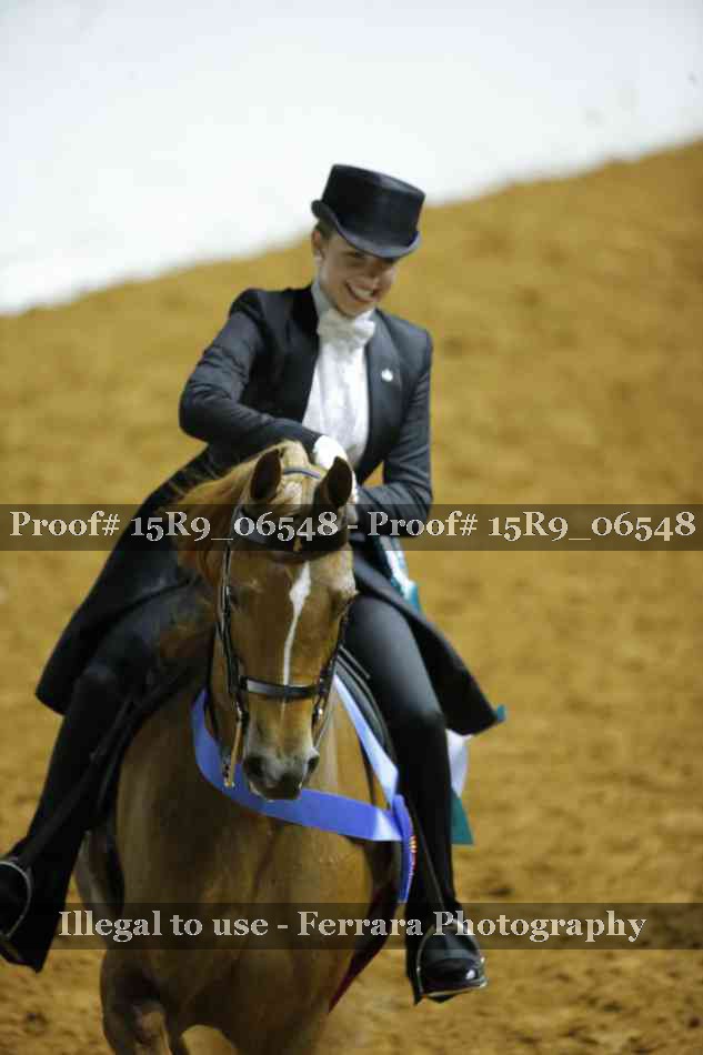 Proof Number 15R9_06548