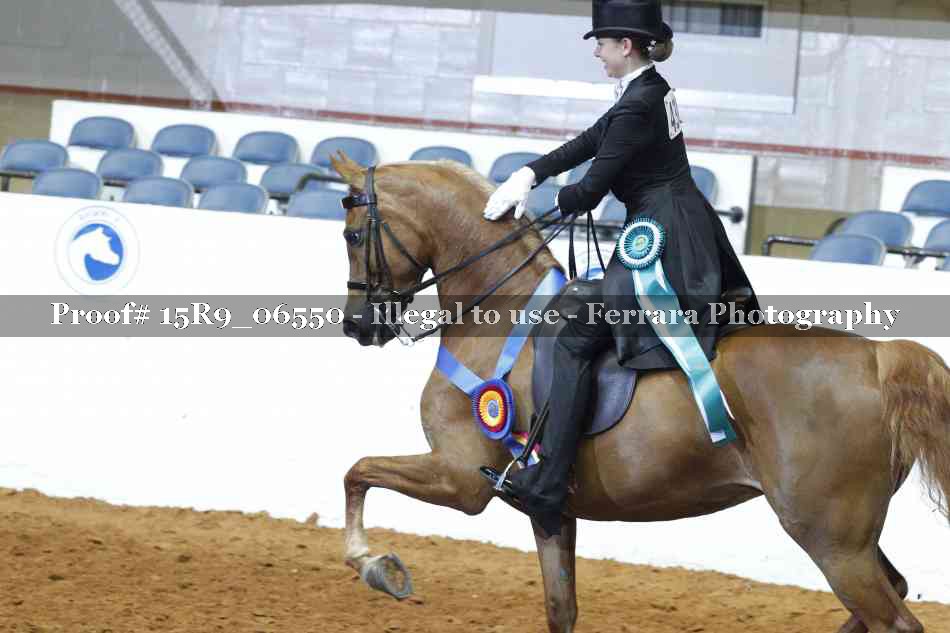 Proof Number 15R9_06550