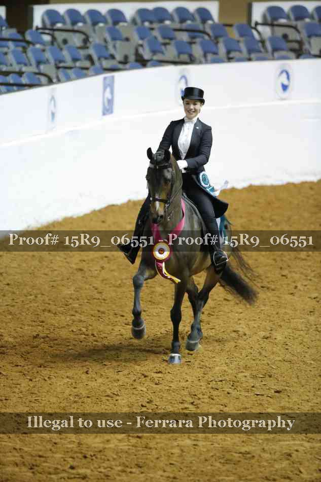 Proof Number 15R9_06551