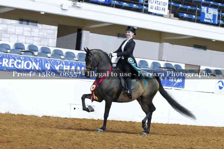 Proof Number 15R9_06557