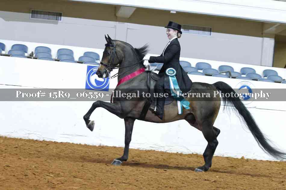Proof Number 15R9_06559