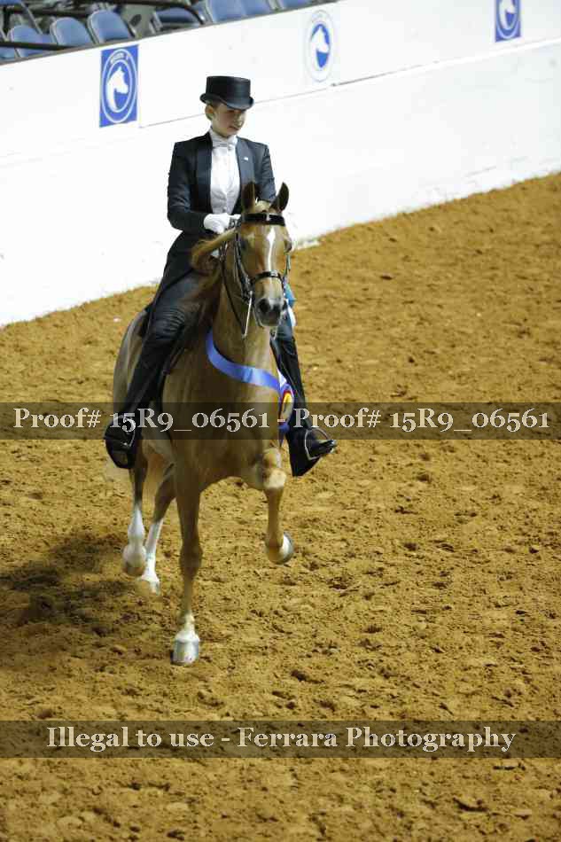 Proof Number 15R9_06561