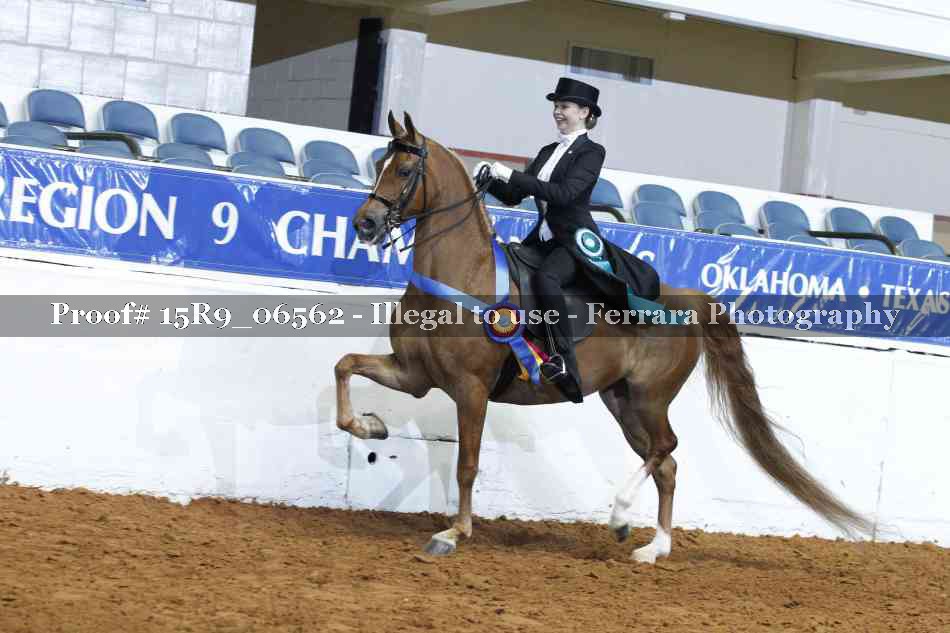 Proof Number 15R9_06562