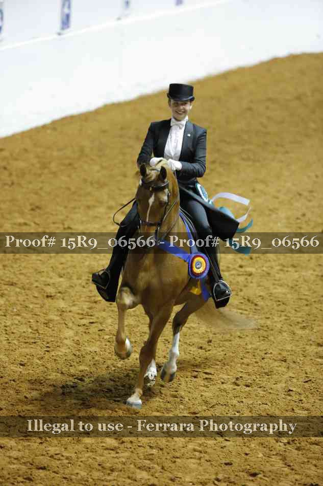 Proof Number 15R9_06566