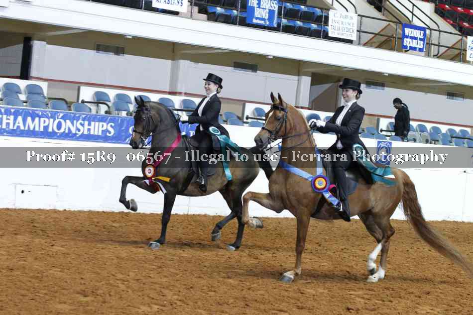 Proof Number 15R9_06567