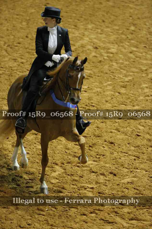 Proof Number 15R9_06568