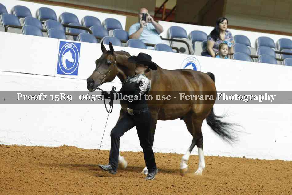 Proof Number 15R9_06571