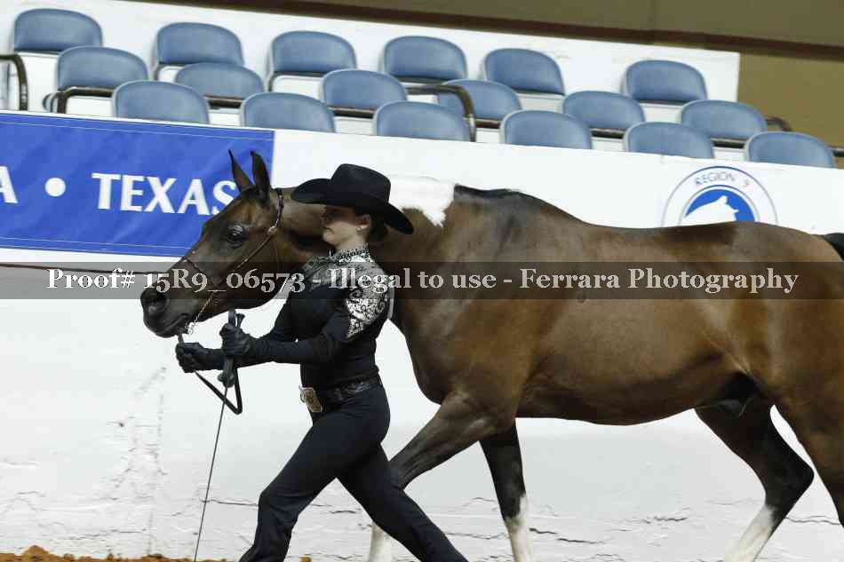 Proof Number 15R9_06573